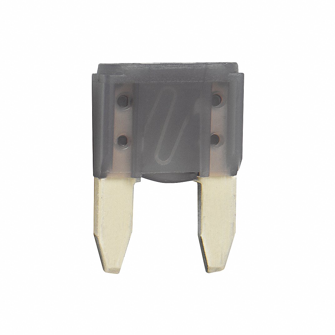 Pico, ATM Mini 3 Amp Fuse, Violet, 5 pack