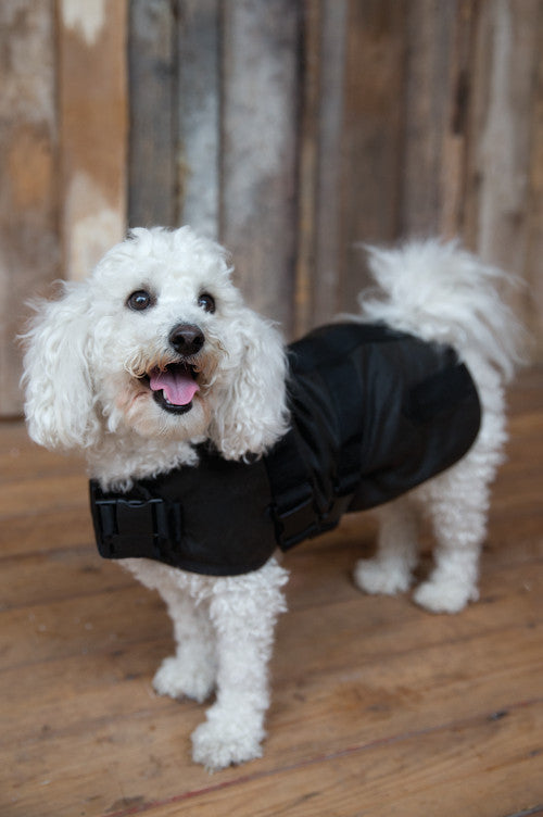 Outback Trading Co., Clancy Oilskin Canine Coat