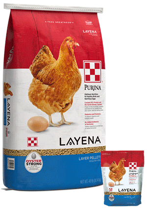 Porzellanmühlen, Layena Pellet