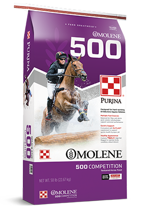 Purina Mühlen, Omolene 500 Competition