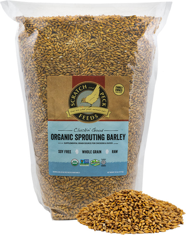 Kratzerknirps, Organic Whole Barley