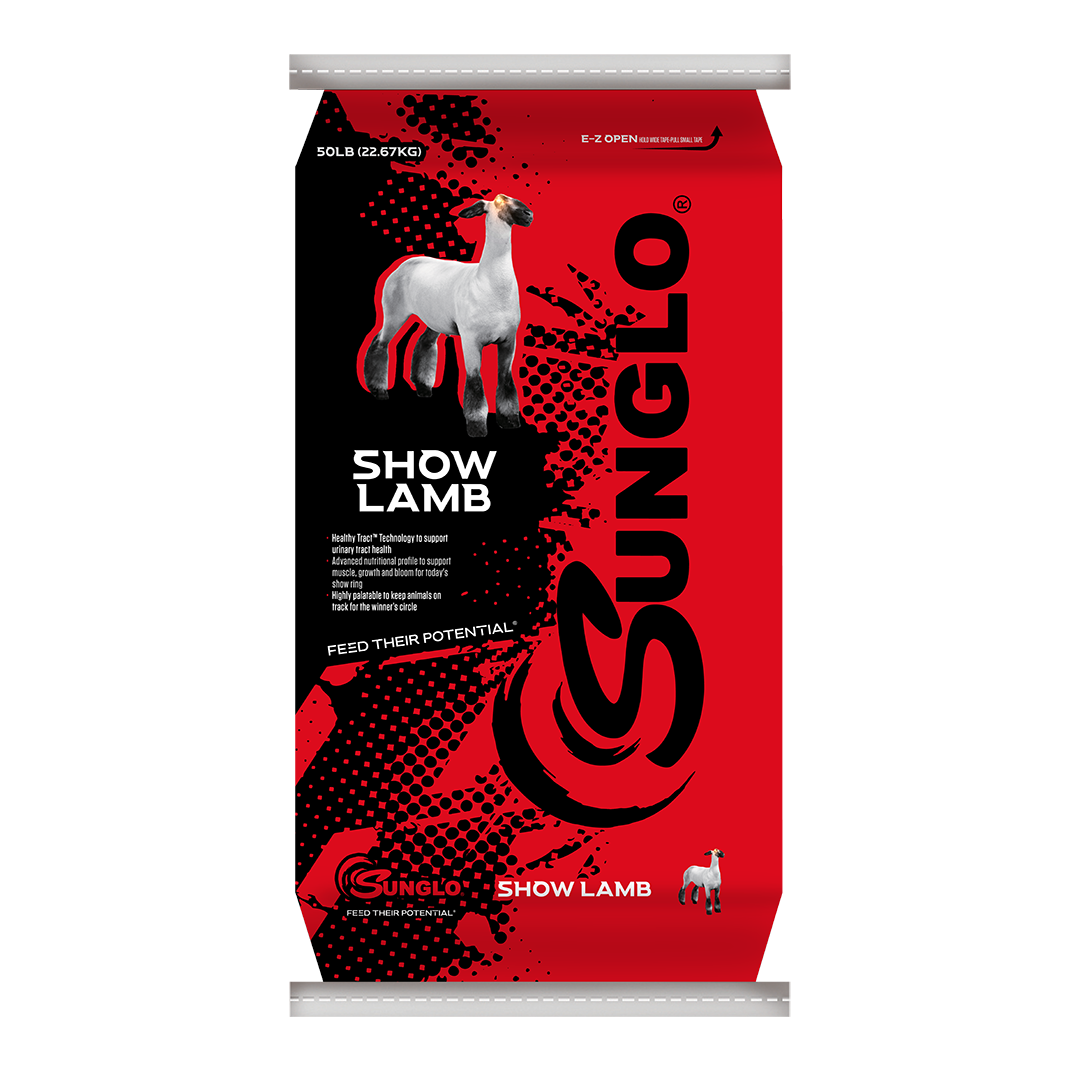 Sunglo, Sunglo Show Lamb